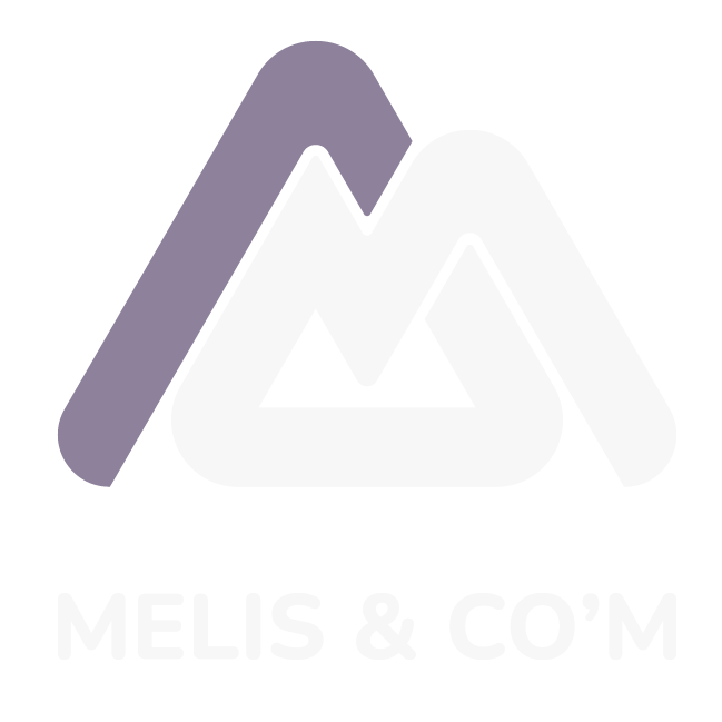 Agence Melis & Co'M